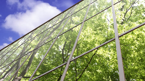 Trees reflected in a building, representing small business growth with SAP software